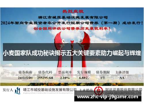 小麦国家队成功秘诀揭示五大关键要素助力崛起与辉煌